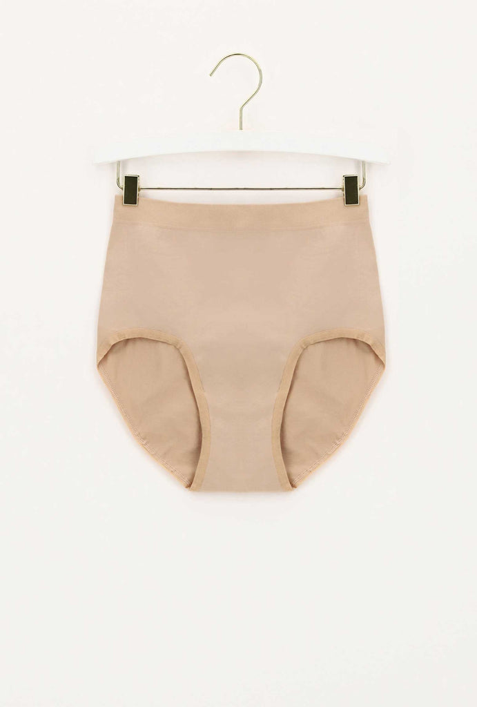 Ladies skin coloured underpants hanging on a silver hanger